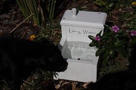 Image 03